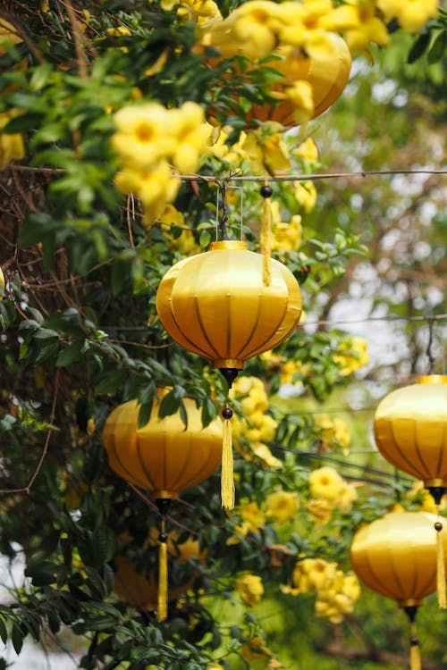 Yellow lanterns are hung high in Hoi An ancient town (Vietnam)