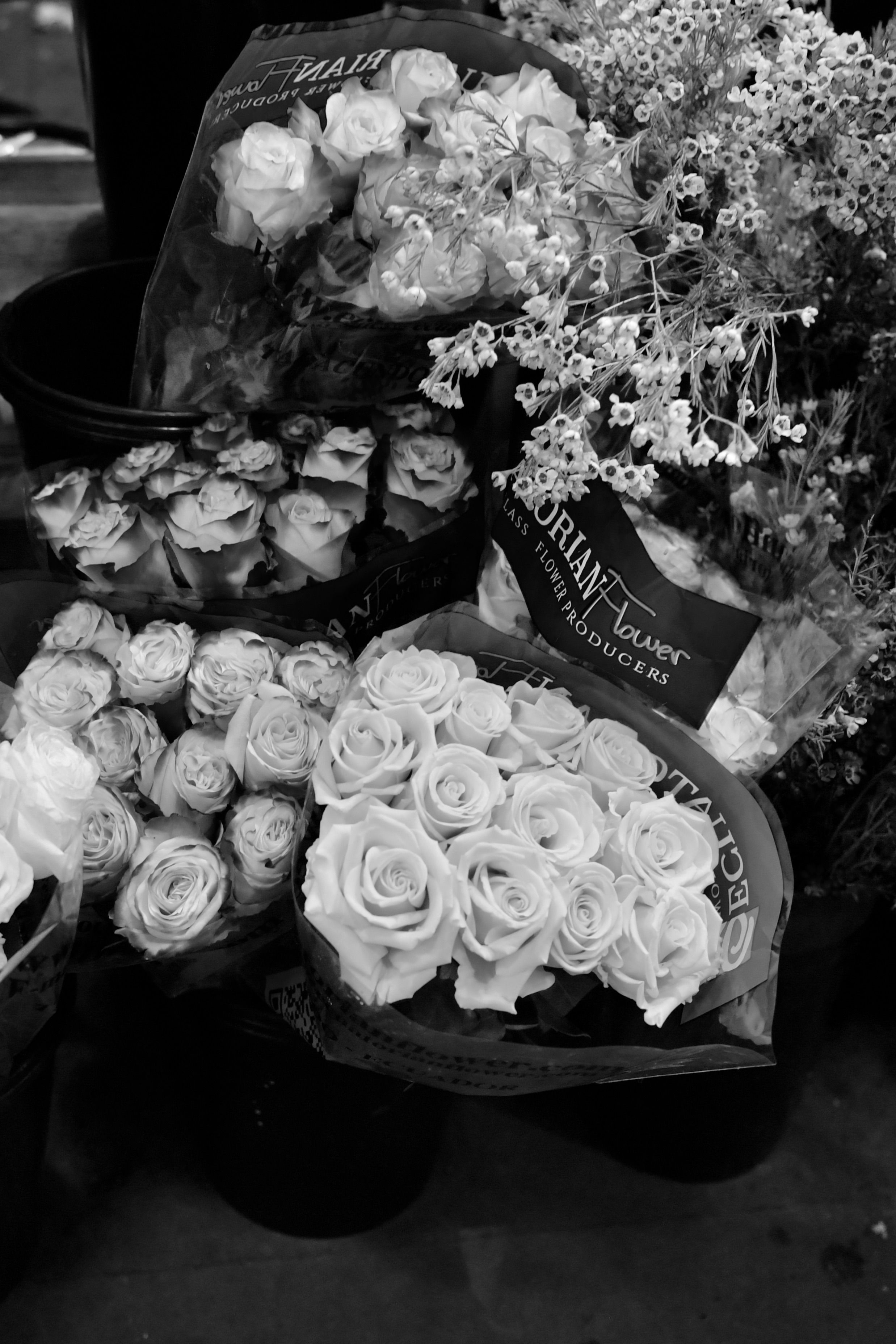 Bouquets of Roses on Market in Black and White · Free Stock Photo