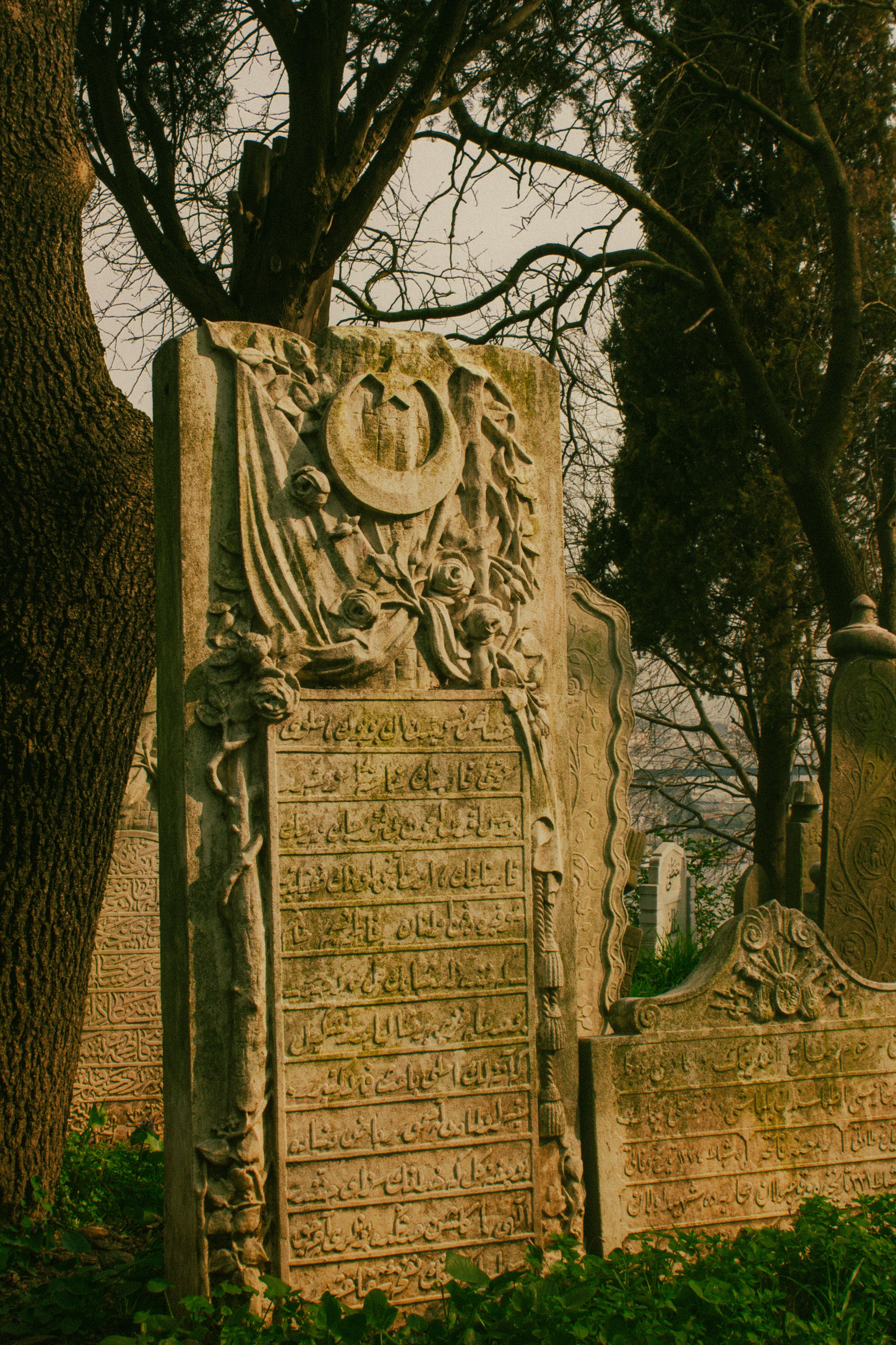 Quiet, tree-lined rows of gravestones