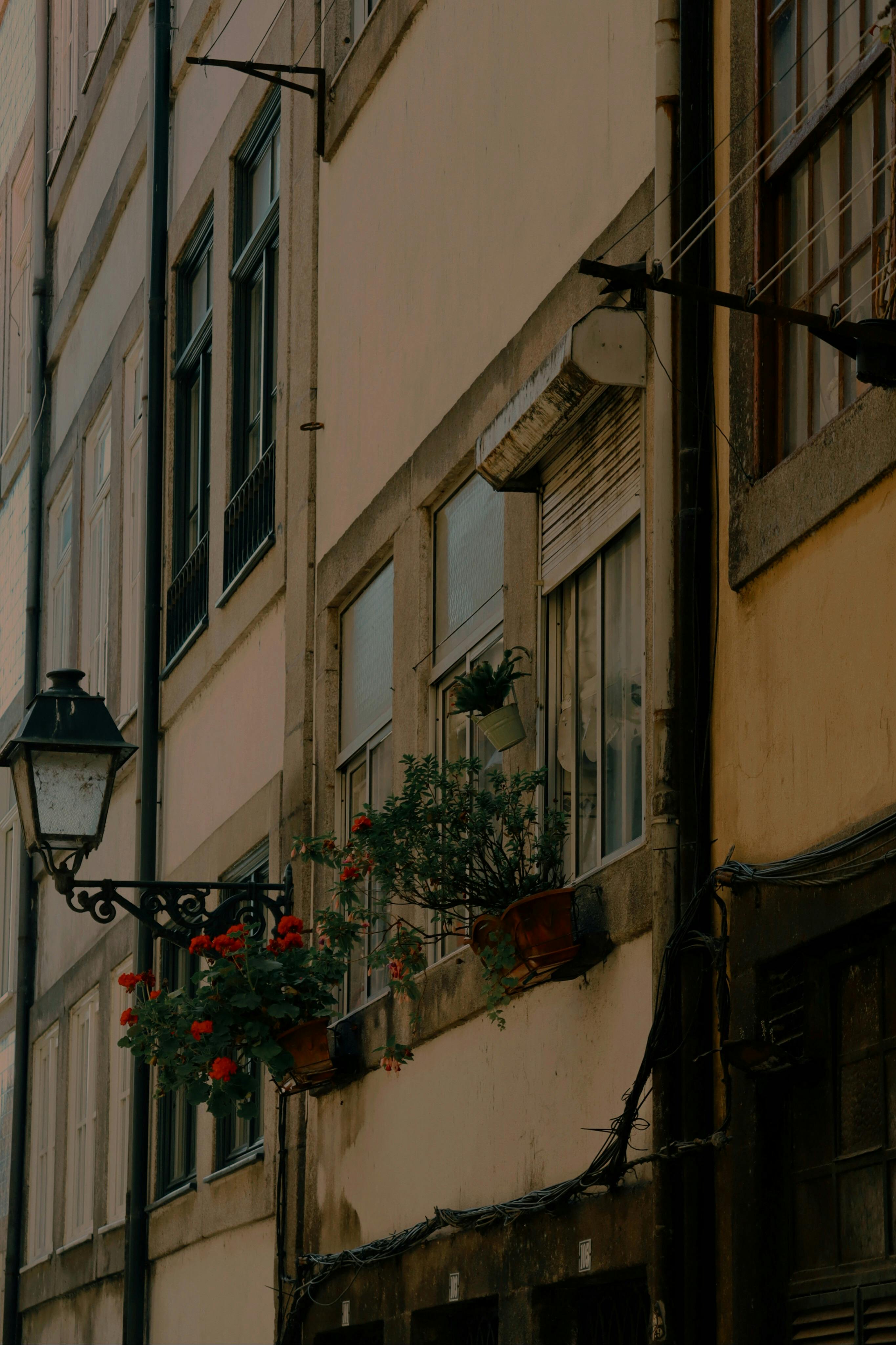 A quaint Portuguese street view showcasing traditional architecture and vibrant balcony flowers.