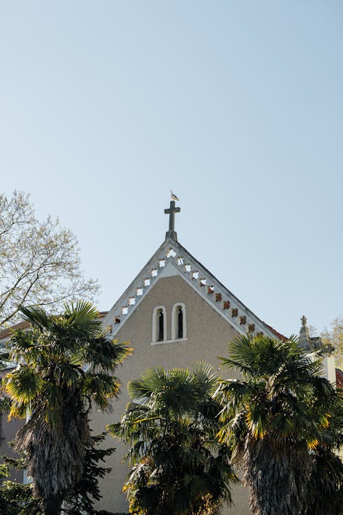 A church with a steeple and palm trees