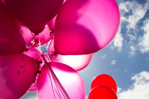 無料 ピンクと赤の風船のローアングルショット 写真素材