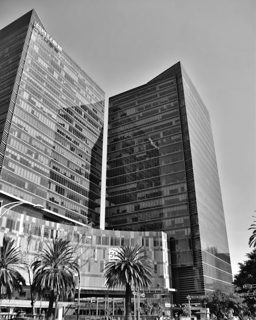 Free stock photo of architecture, black and white, contemporary architecture