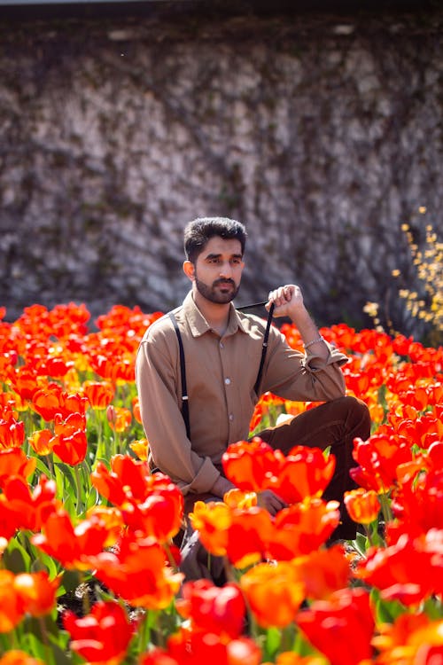 Man in Shirt Sitting on Field of Red Flowers