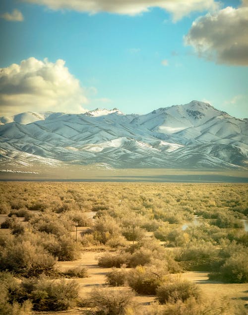 A desert landscape with snow capped mountains in the background