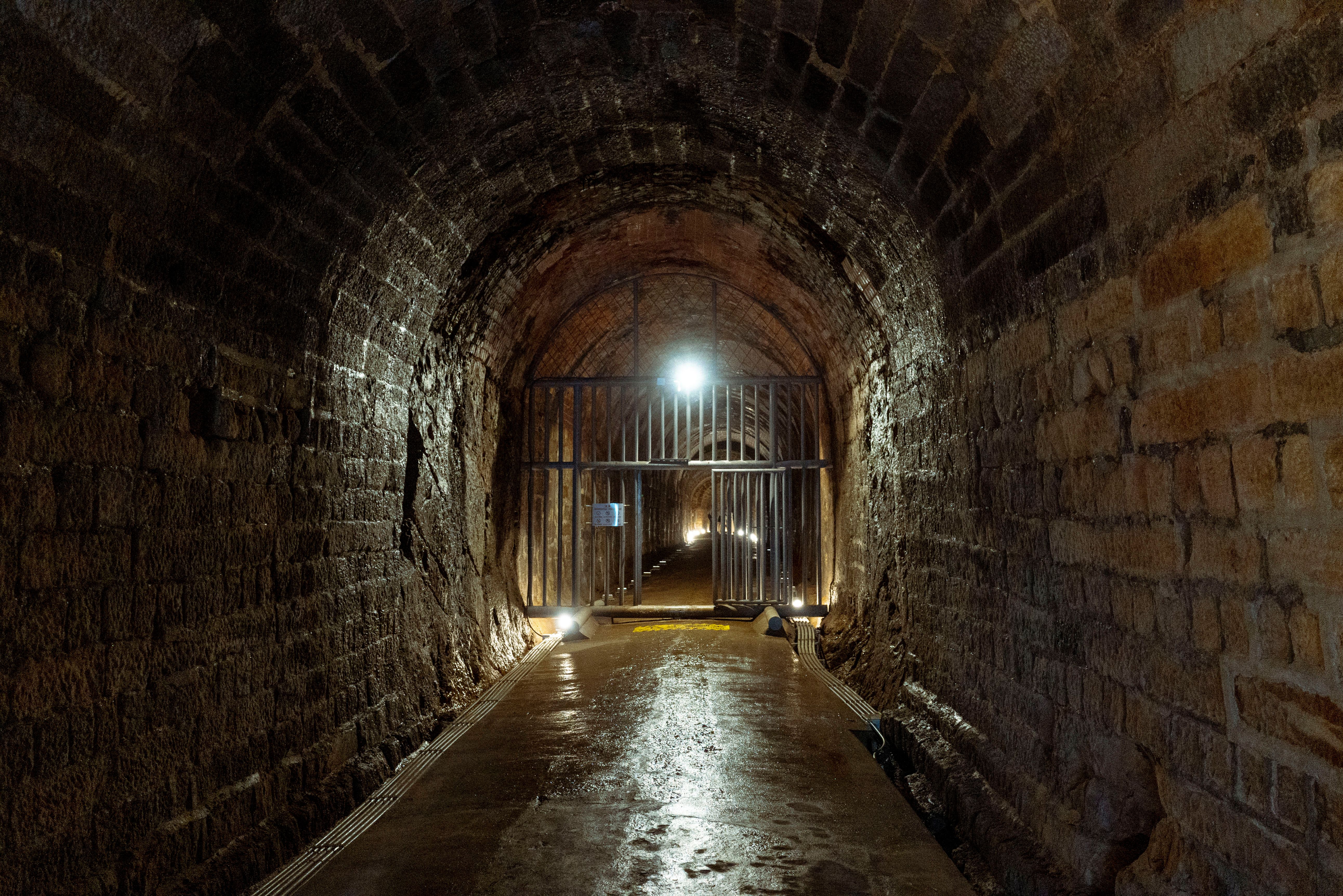 Explore the atmospheric ambiance of an illuminated stone tunnel with a metal gate.