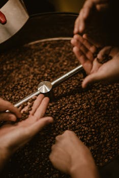 Detailed view of hands carefully inspecting and sorting fresh coffee beans in a roastery.