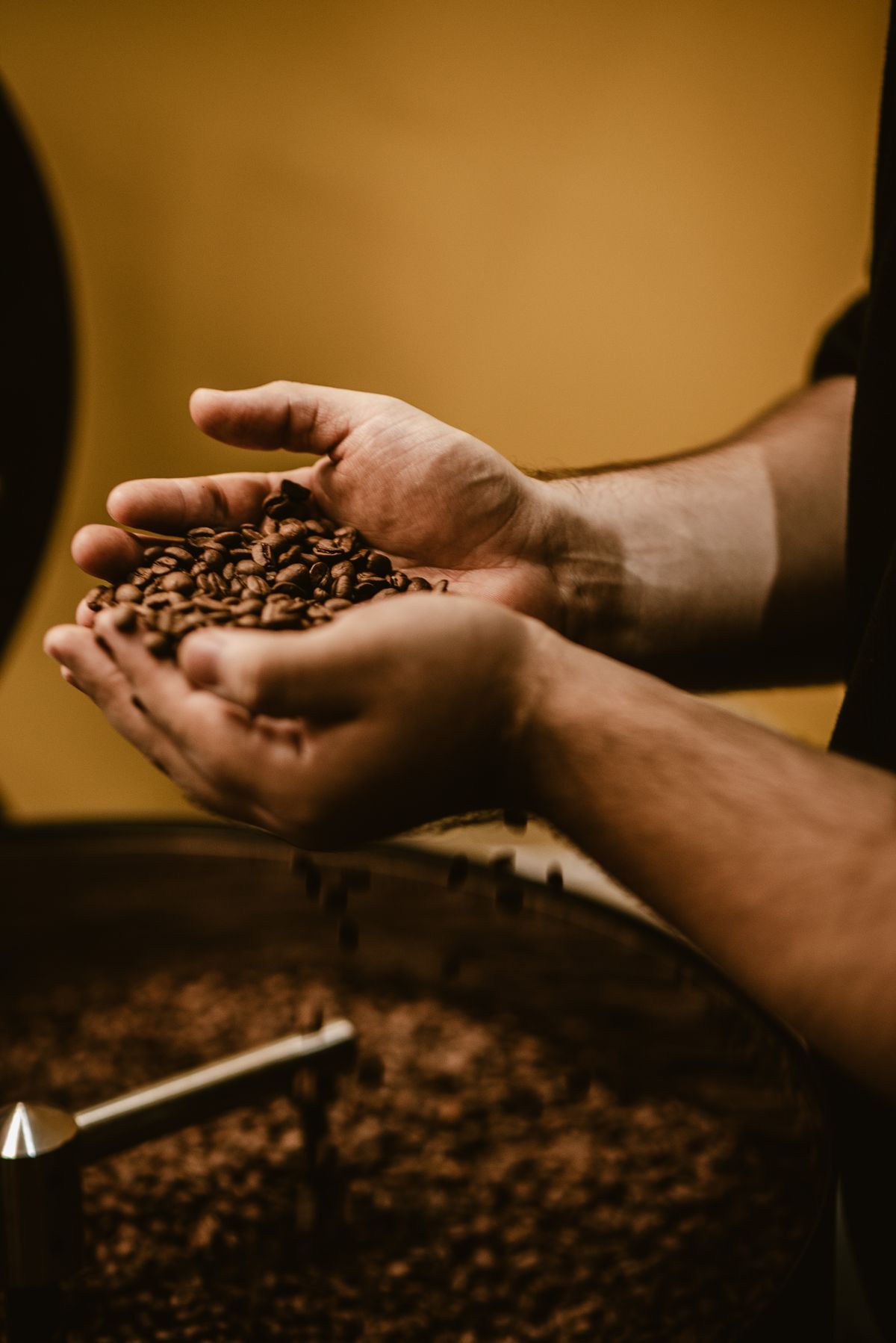 Coffee beans roasting