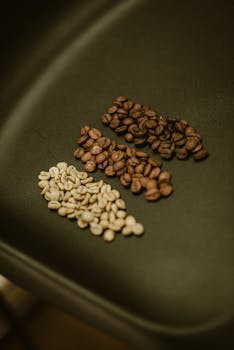 Different stages of coffee bean roasting displayed in a minimalistic style.