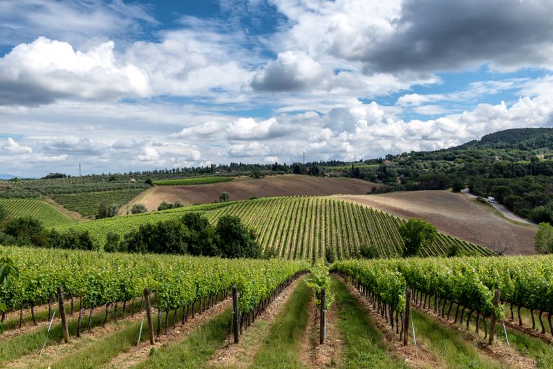 Food and Wine Festival