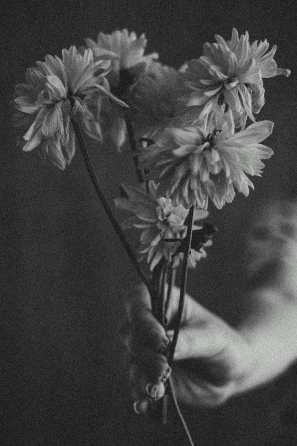 Grayscale Photo Of Person Holding Flowers · Free Stock Photo