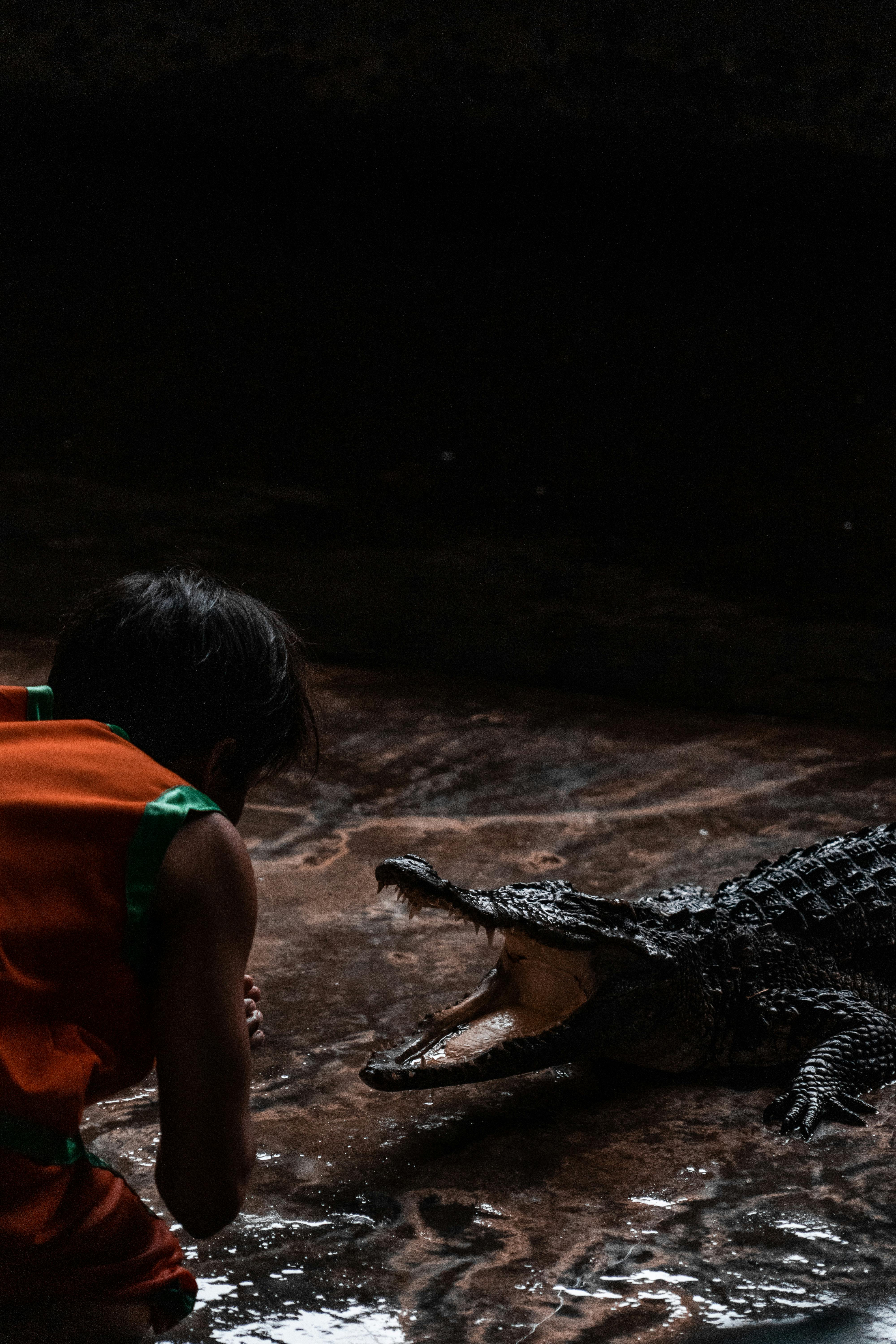 Men and Crocodiles: Navigating the Ancient Bond between Human and Reptile