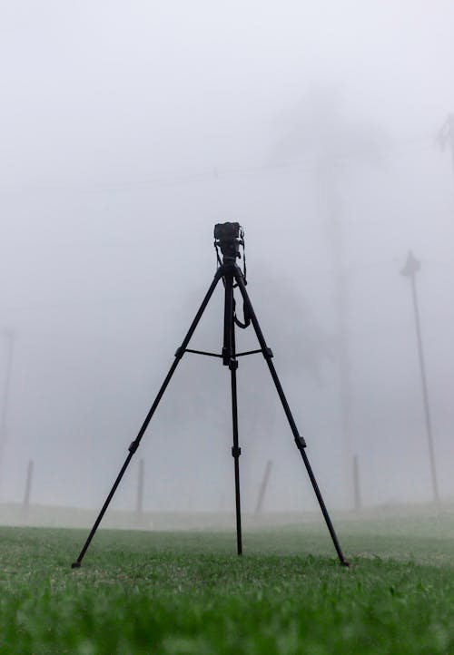 Ingyenes stockfotó háromlábú, köd, ködös témában Stockfotó