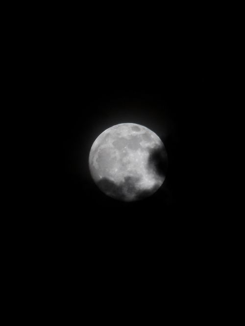 Free Beautiful full moon with clouds in a clear night sky. Stock Photo