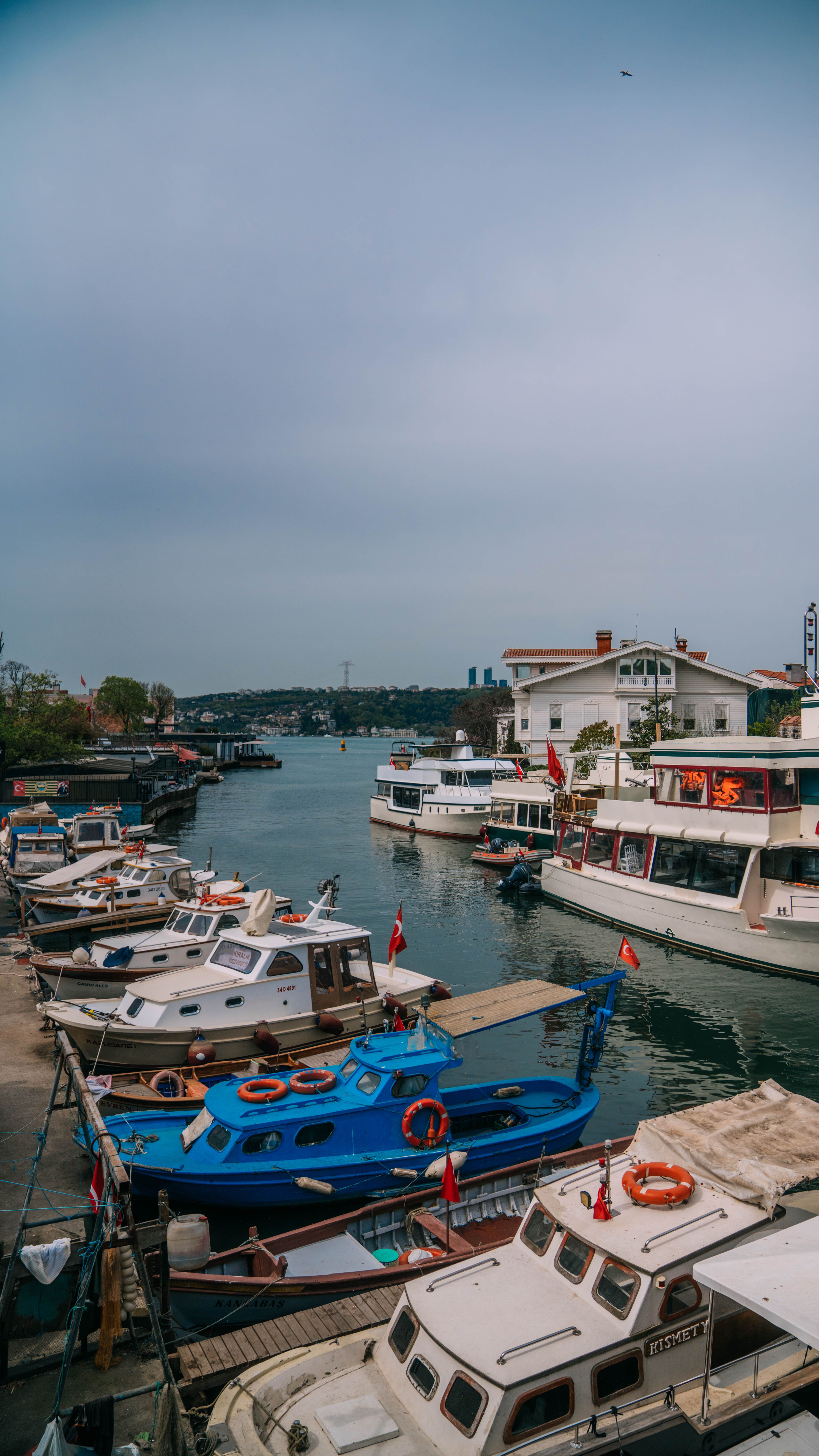 Boats docked in a harbor with a dock and buildings · Free Stock Photo