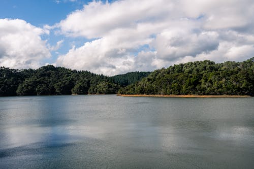 Безкоштовне стокове фото на тему «відображення, вода, водоймище»