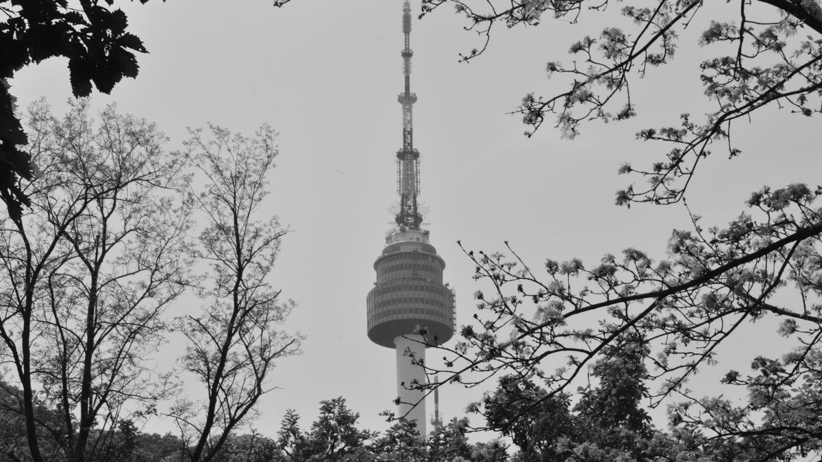 서울 야경 반나절 — A black and white photo of N Seoul Tower framed by tree branches in Seoul, South Korea.