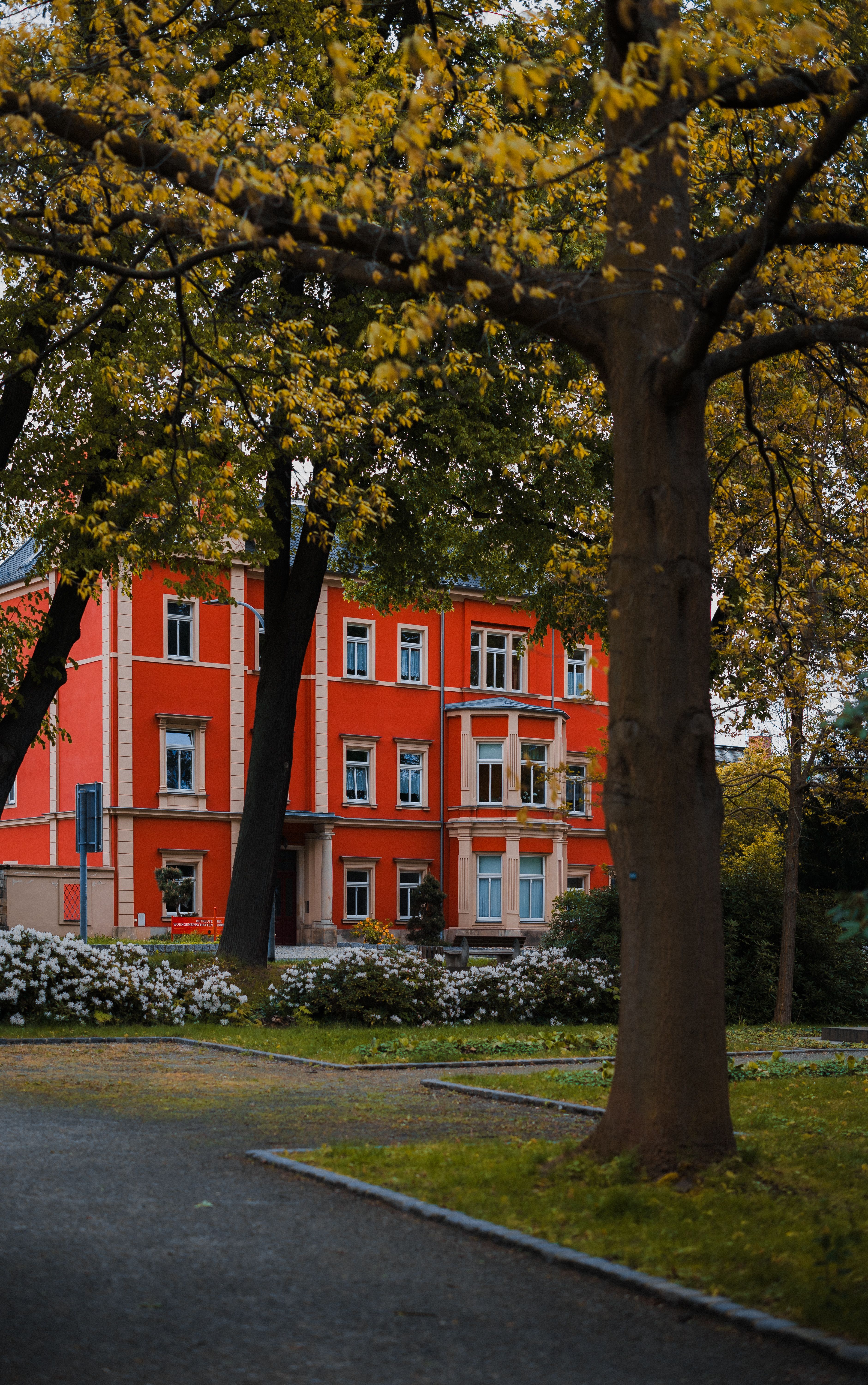 Small Tenement with Red Walls between Trees · Free Stock Photo