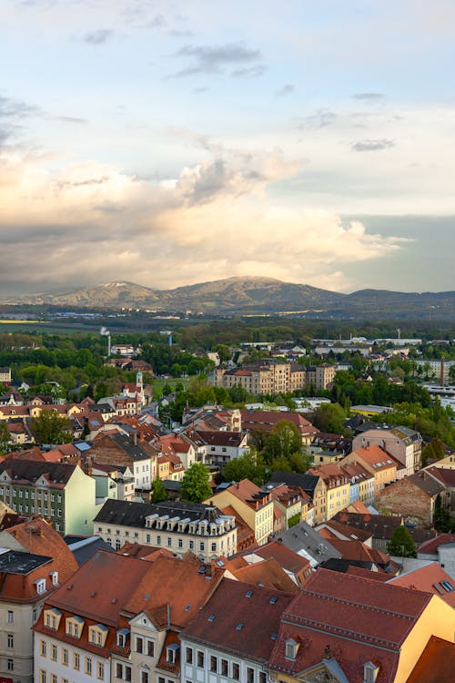 A view of a city with a mountain in the background