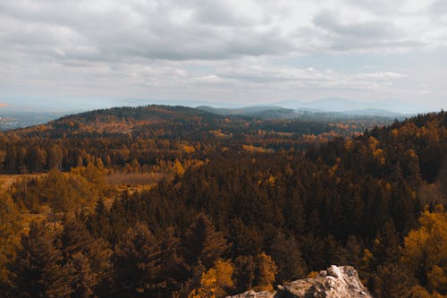 A view of the mountains and trees in autumn