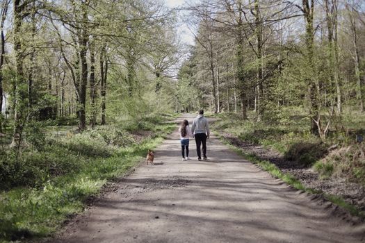 Father and daughter walk their dog on a peaceful forest path during the day.