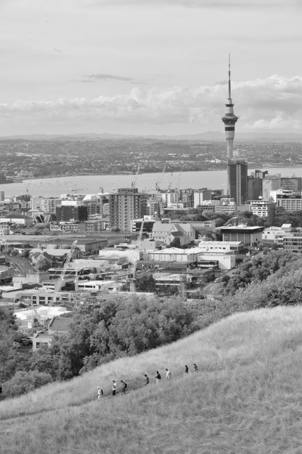 Auckland skyline with the Sky Tower, host city of the fourth India vs New Zealand T20