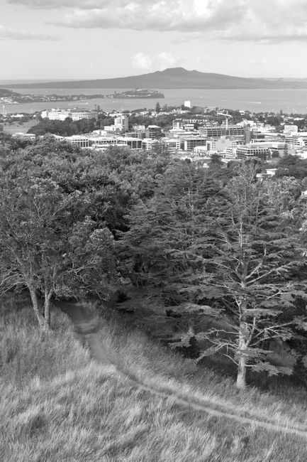 <b>Why New Zealand's Forests Are So Special</b> <b>Why New Zealand's Forests Are So Special</b>