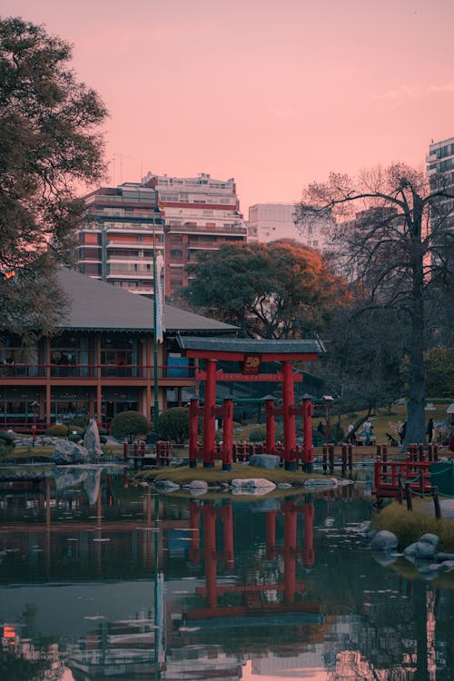 光, 公園, 城市 的 免费素材图片