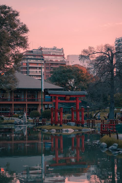 Free A peaceful Japanese garden with a red torii gate at sunset surrounded by urban architecture. Stock Photo