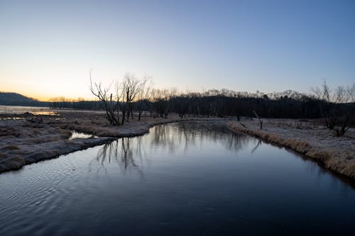 冬, 反射, 夜明けの無料の写真素材