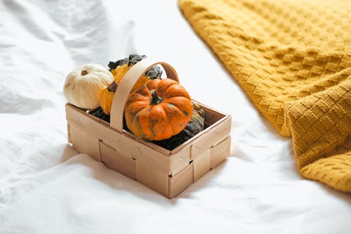 A basket filled with pumpkins and a blanket on a bed