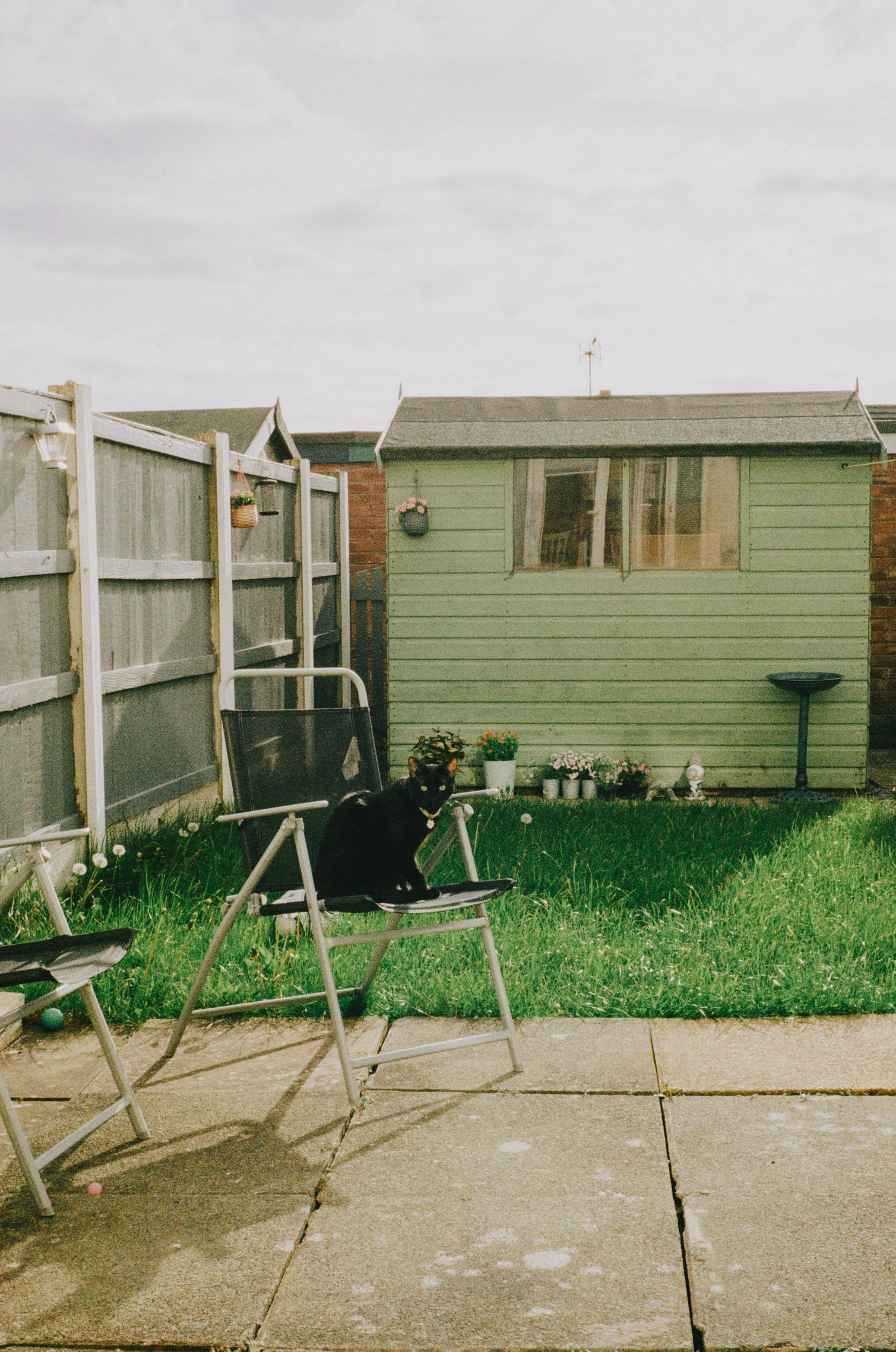 Cozy backyard with chairs, green grass, and a shed under soft sunlight