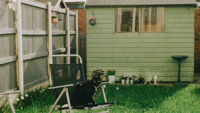 A pale green garden building with a chair and a cat on the lawn
