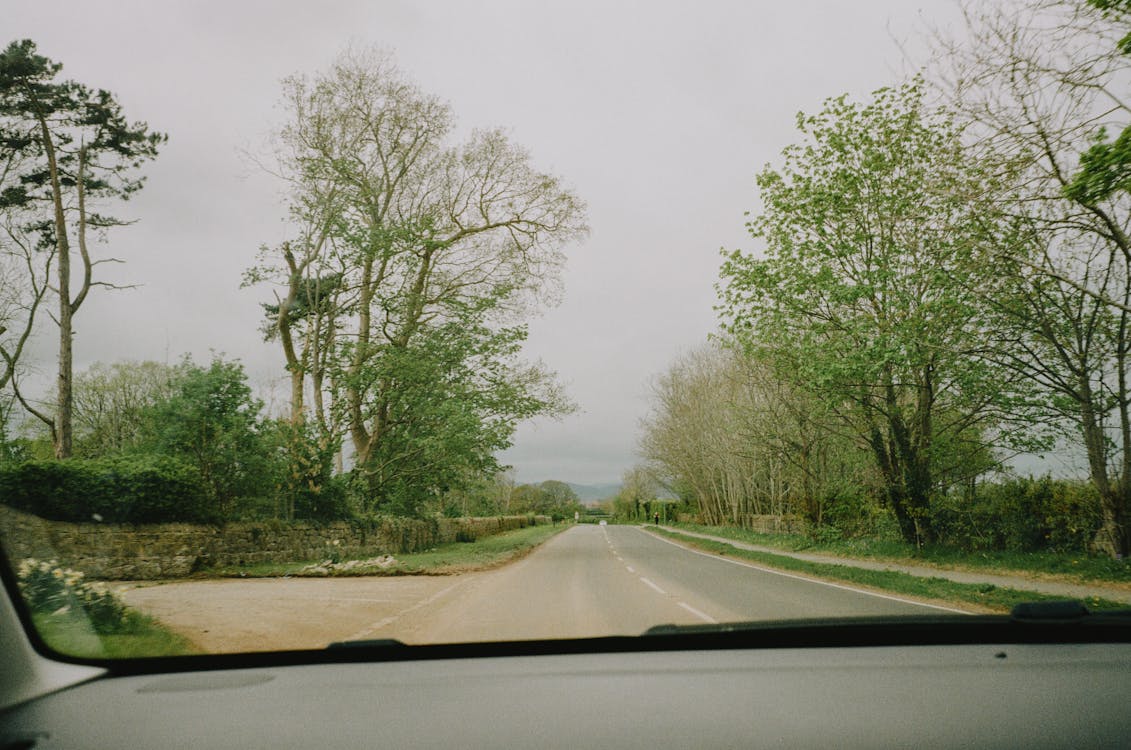 A view from the inside of a car looking down a road