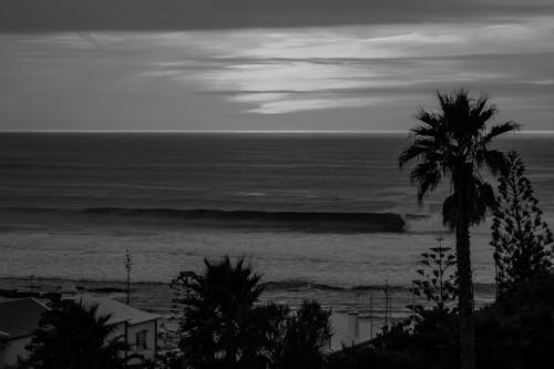 Ericeira in BW