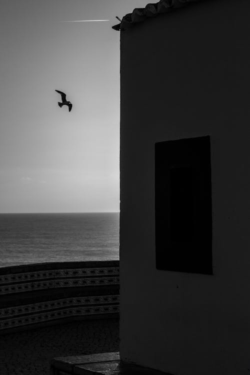 Ericeira in BW