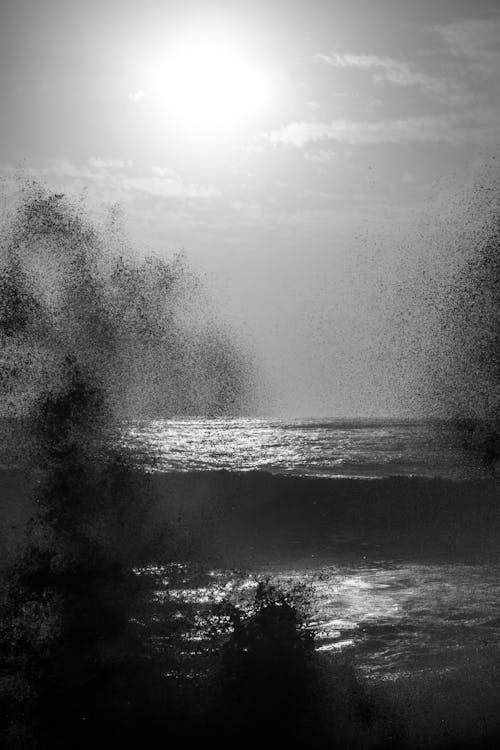 Ericeira in BW