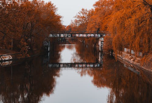 A bridge over a canal with trees in the background