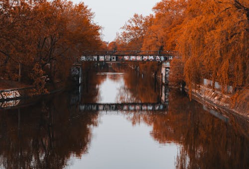 Imagine de stoc gratuită din apă, apă curgătoare, apus