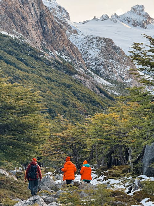 トレイル, ハイキング, レクリエーションの無料の写真素材