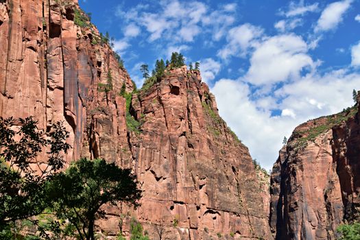 Zion NP on the Las Vegas & National Parks route
