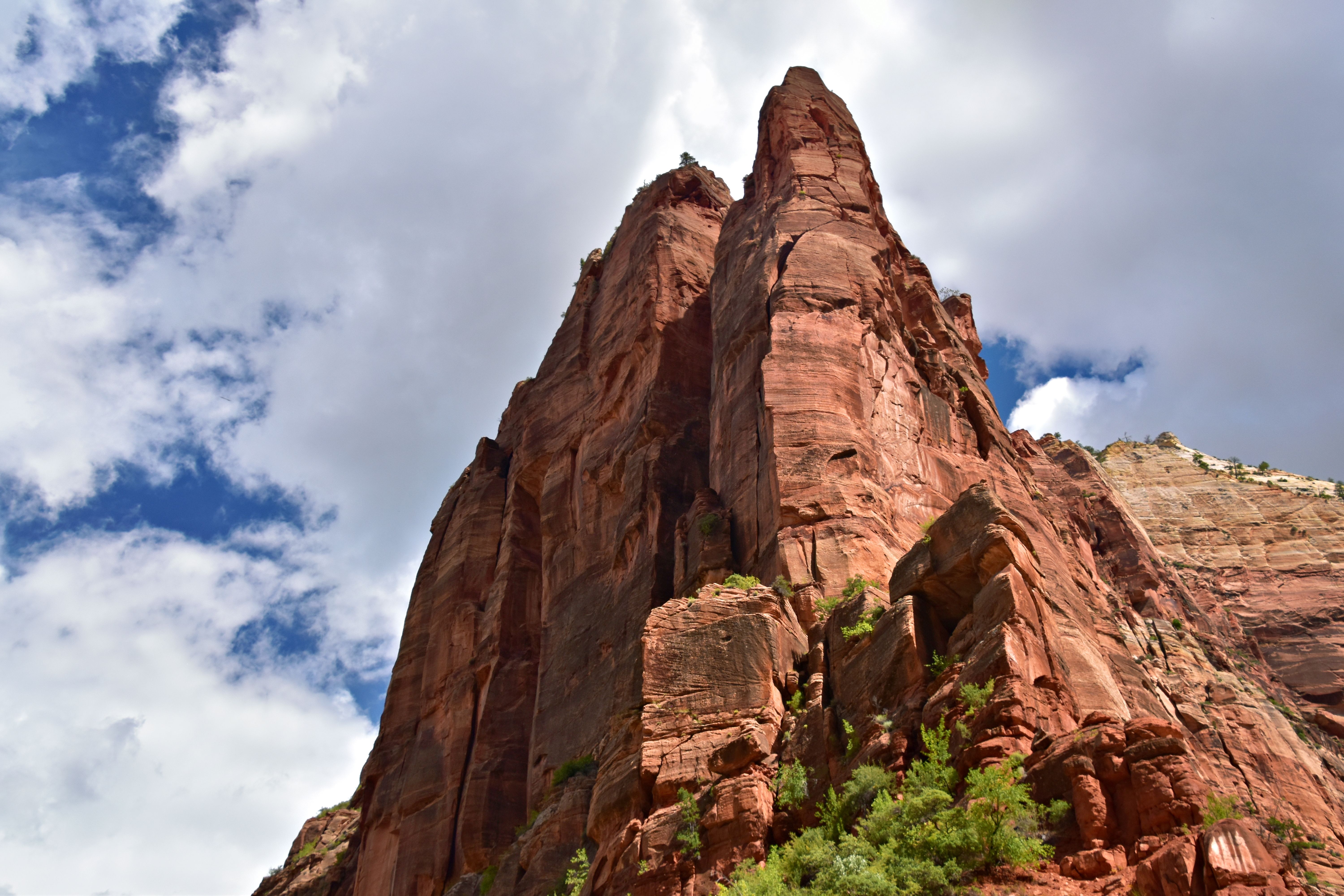 5 Day Women's Yoga, Hiking, Nature Retreat in Zion/SW Utah 1