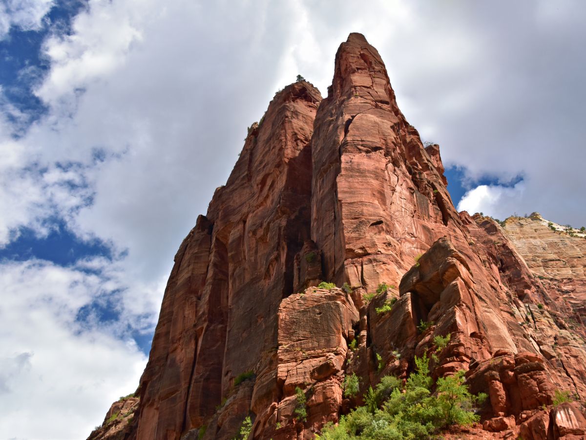 5 Day Women's Yoga, Hiking, Nature Retreat in Zion/SW Utah 1