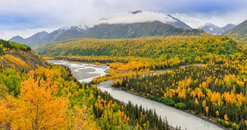 Green and Yellow Trees Near River Under White Clouds