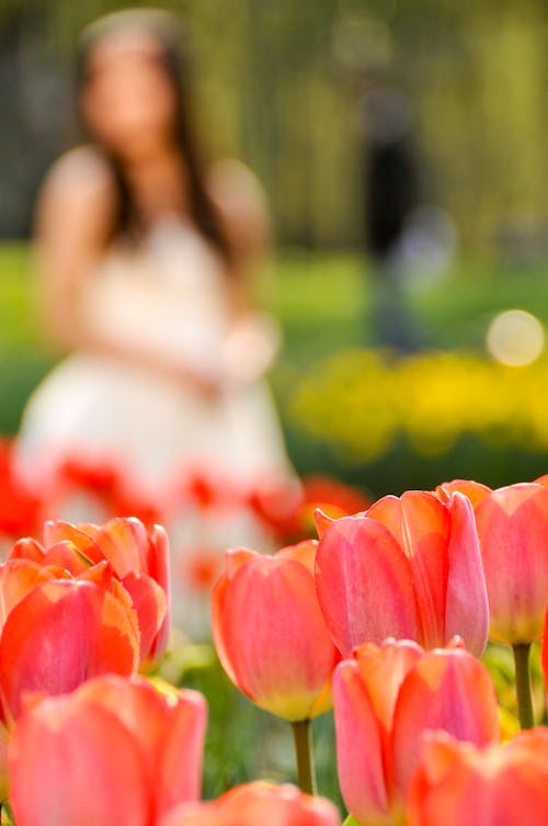 Free stock photo of bride, contrast, flower