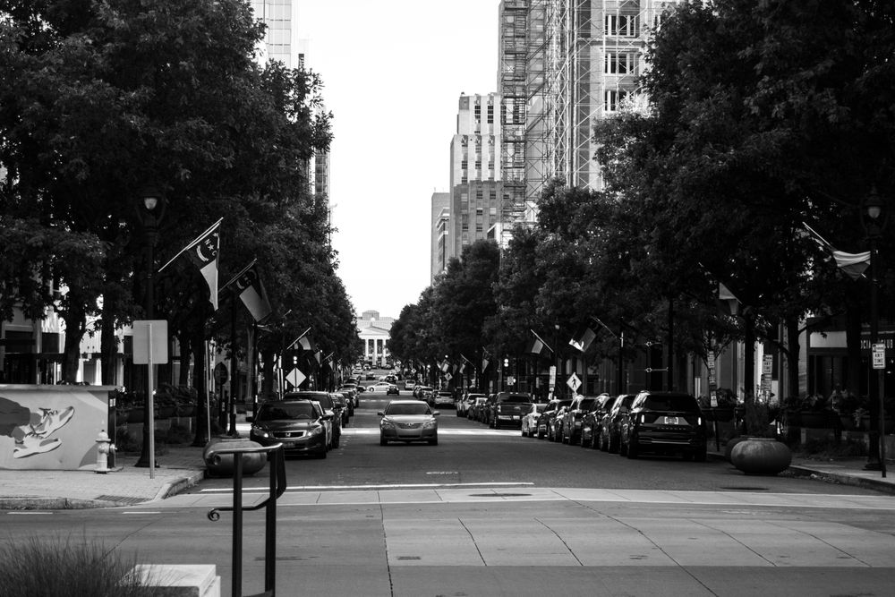 A tree lined street in downtown Raleigh, North Carolina, photographed in black and white