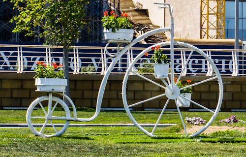 Floral Bicycle in Baku, Azerbaijan