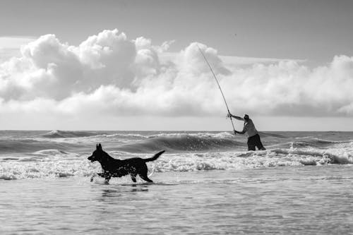 A black and white photo of a man and dog in the ocean