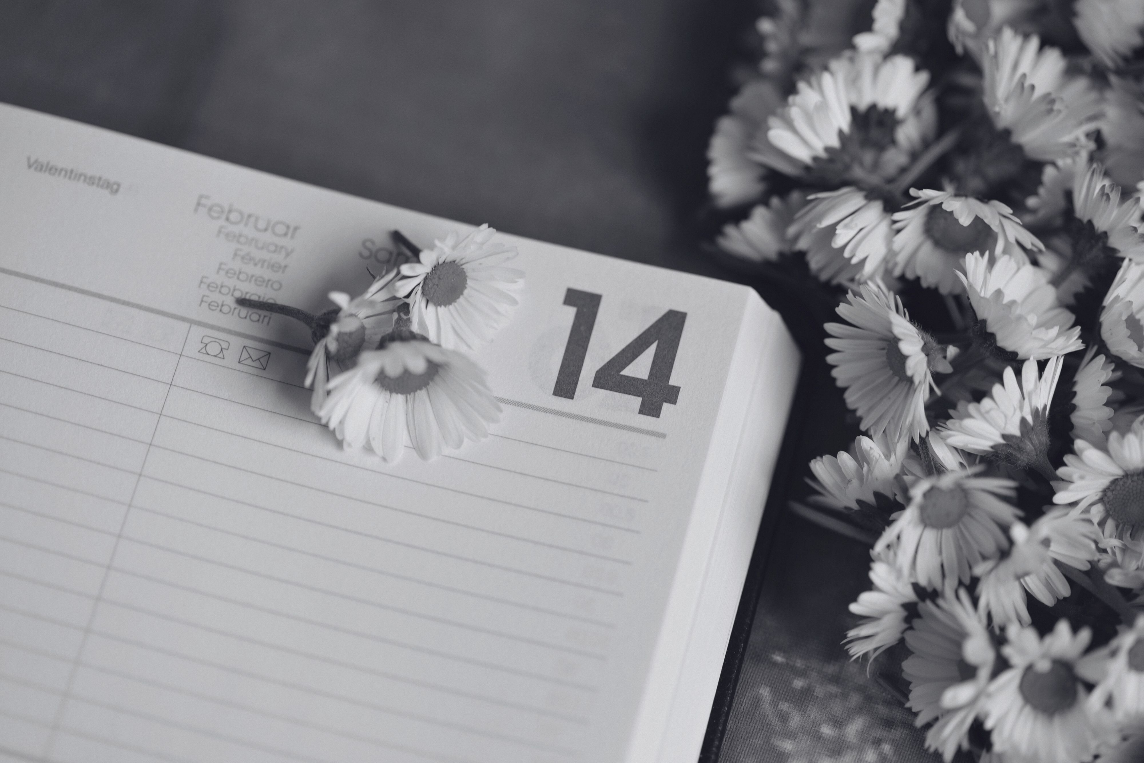 Black and white image of February calendar with daisies for Valentine's Day theme.