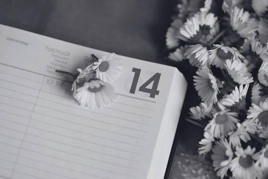 Daisies on Notebook in Black and White 